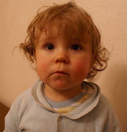 SONY DSC