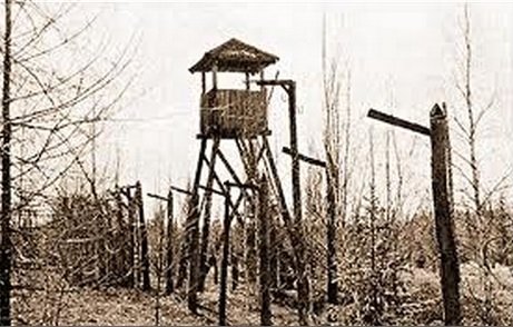 Андрей Лошак: Анатомия процесса